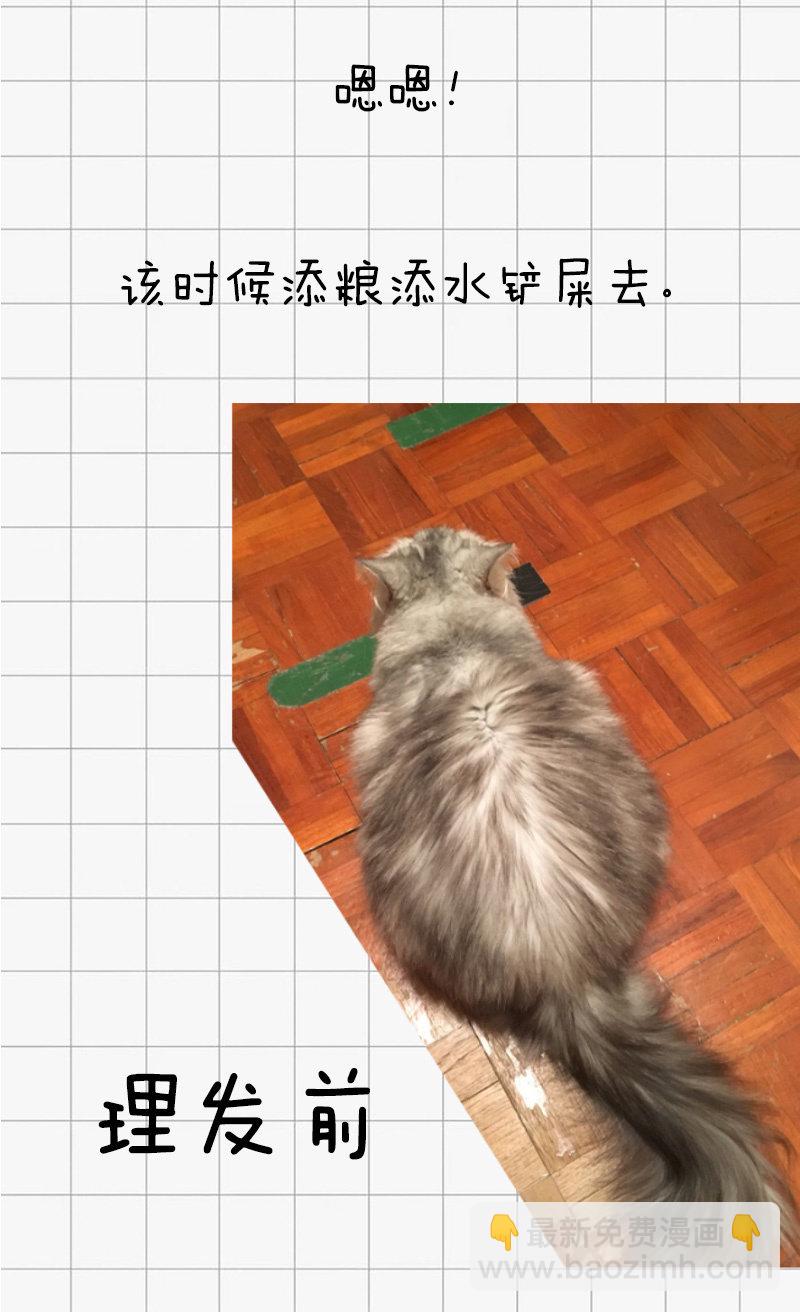 进化(1/2)-第45话