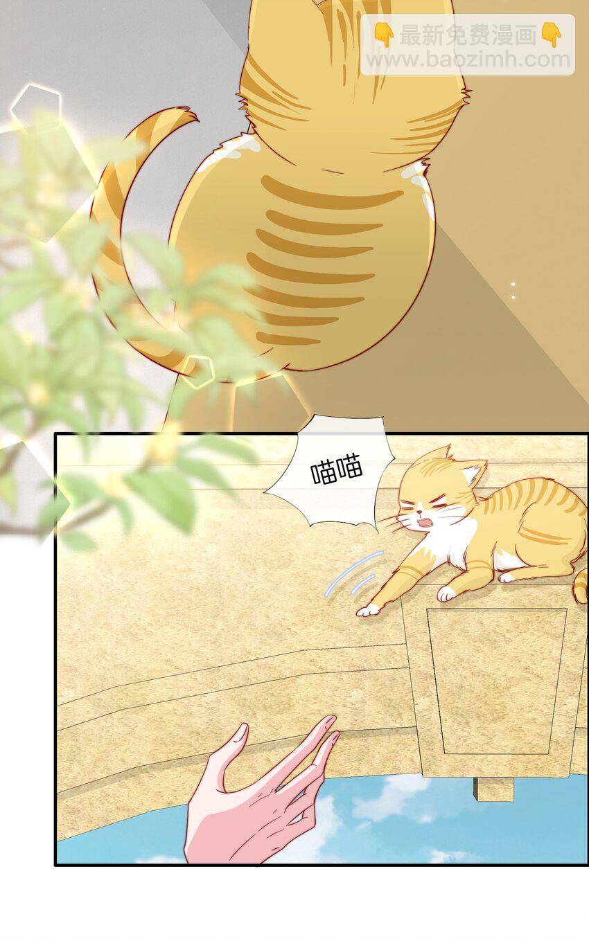 054 又是安宁？-第57话