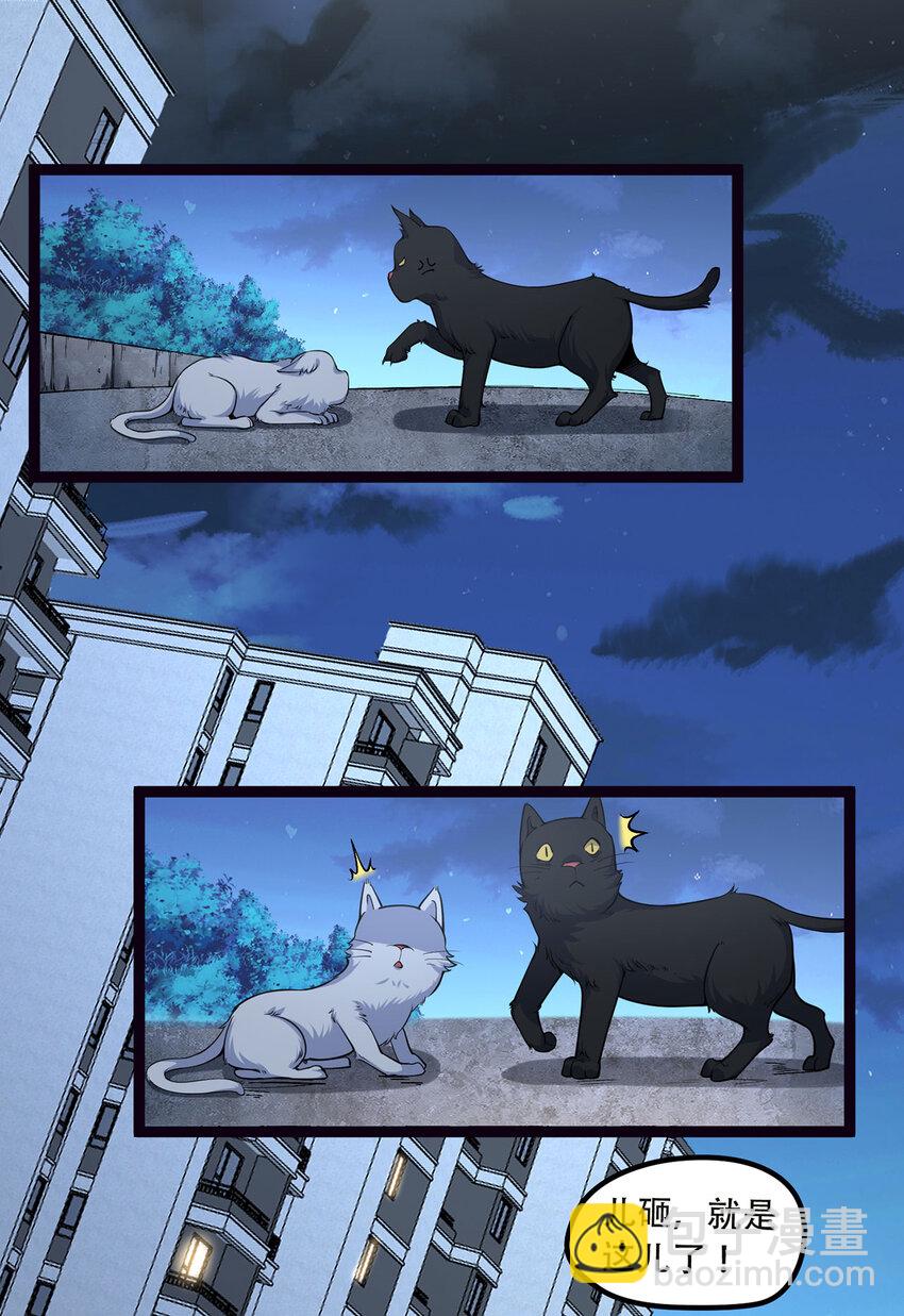 18回 咱们上！(1/2)-第19话