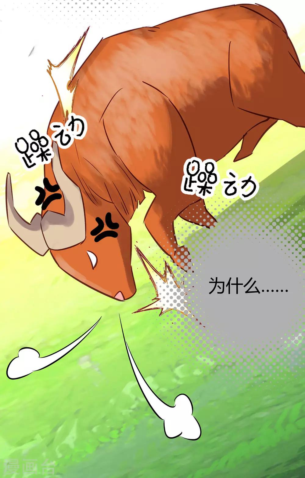 第16话 随性的怪家伙-第17话