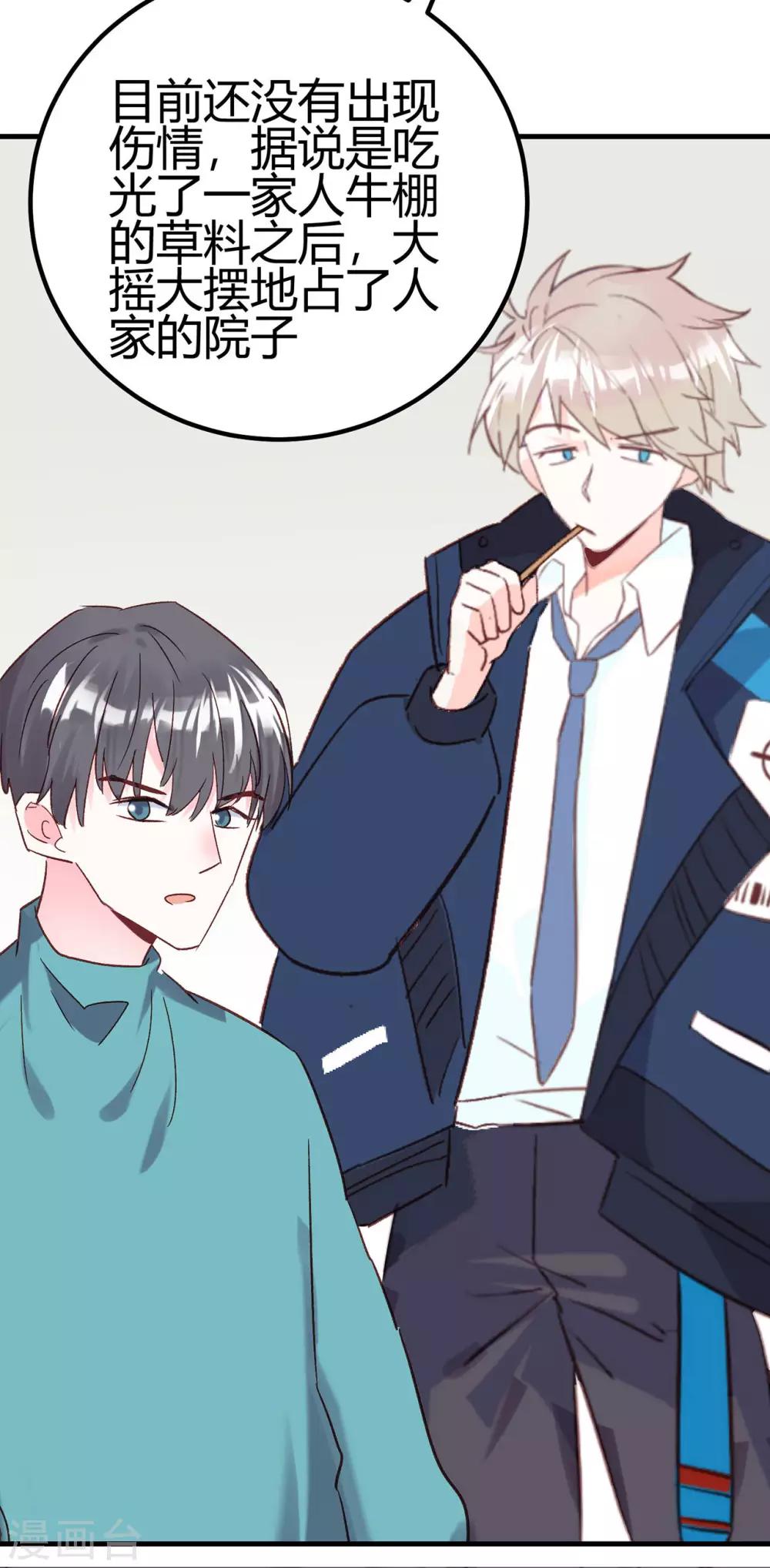 第18话 烧糊涂了吗？-第19话