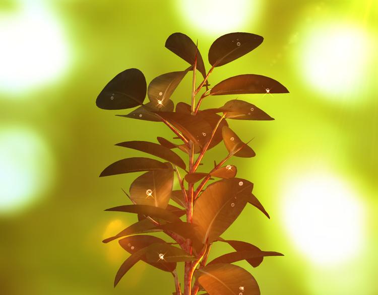 番外  小树苗(1/2)-第17话