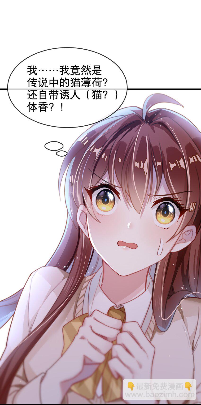 预告 预告-第1话