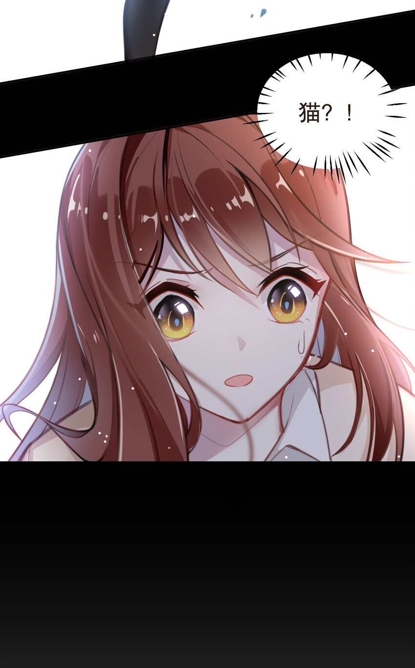 002 宠物？！-第3话