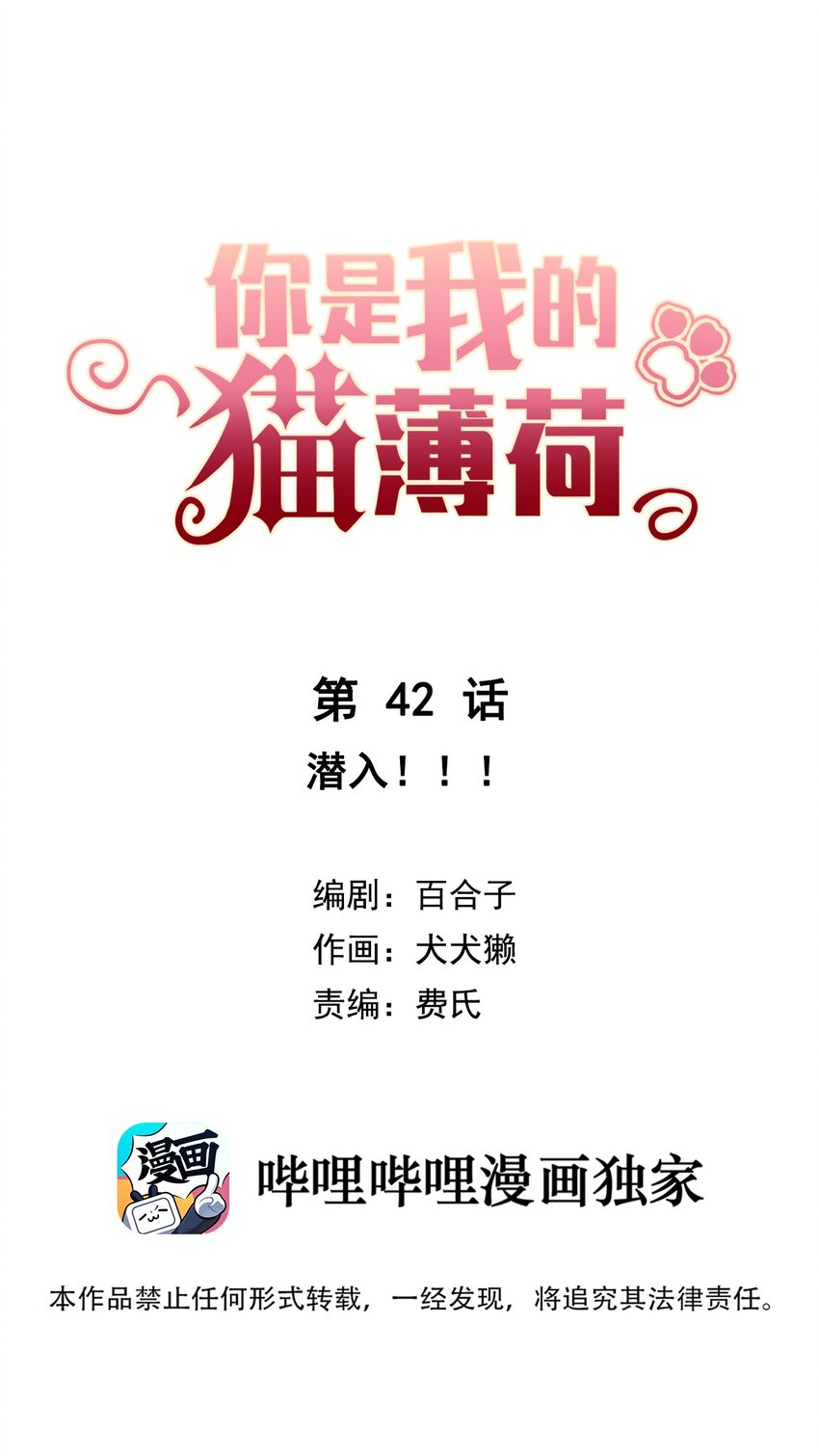 042 潜入！！-第45话