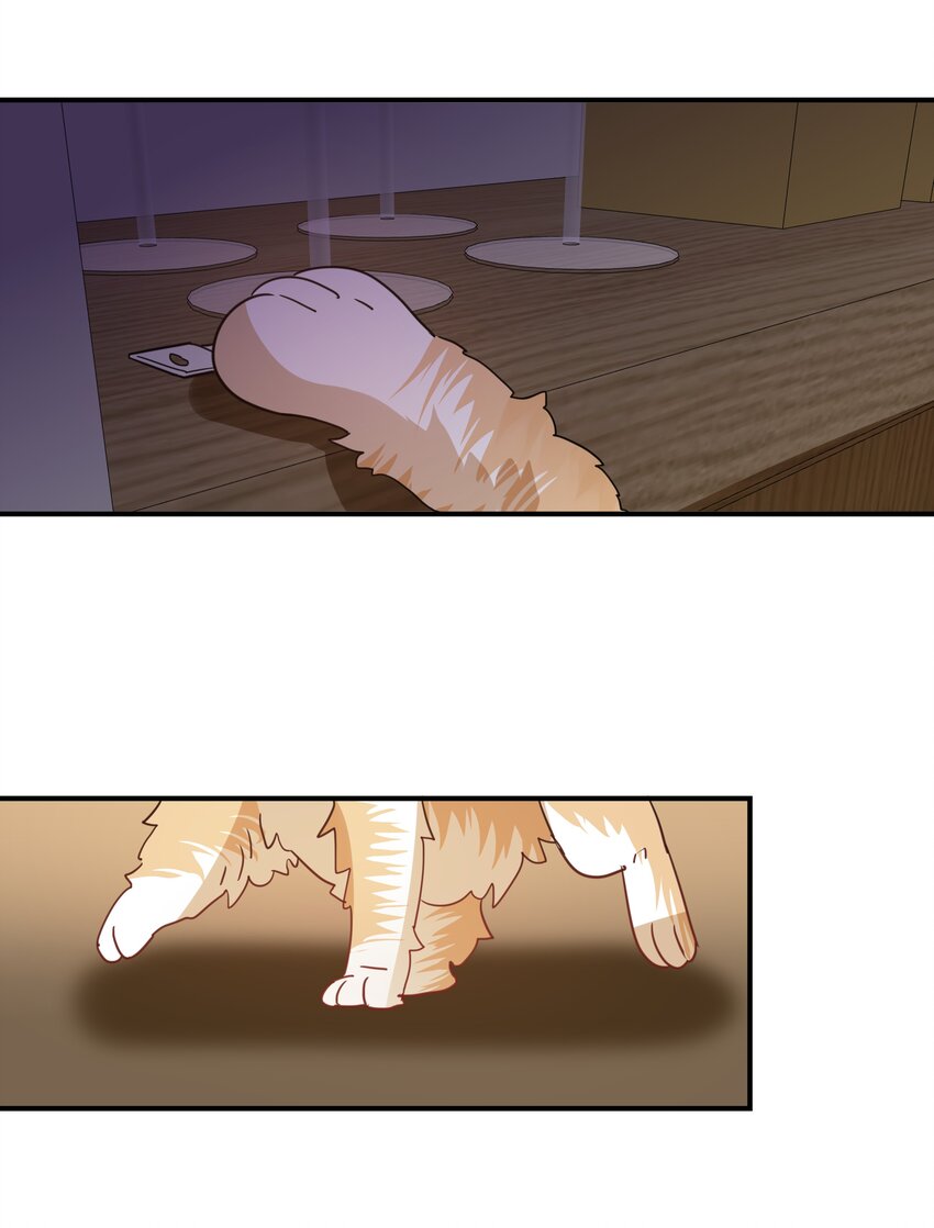 050 我愿意-第53话