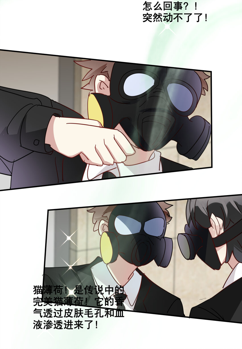 052 完美猫薄荷-第55话