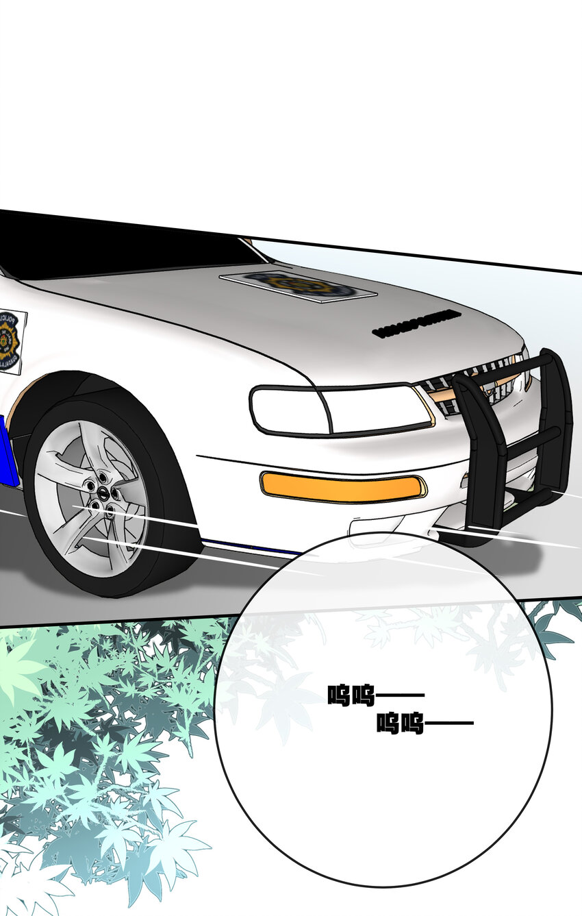 052 完美猫薄荷-第55话