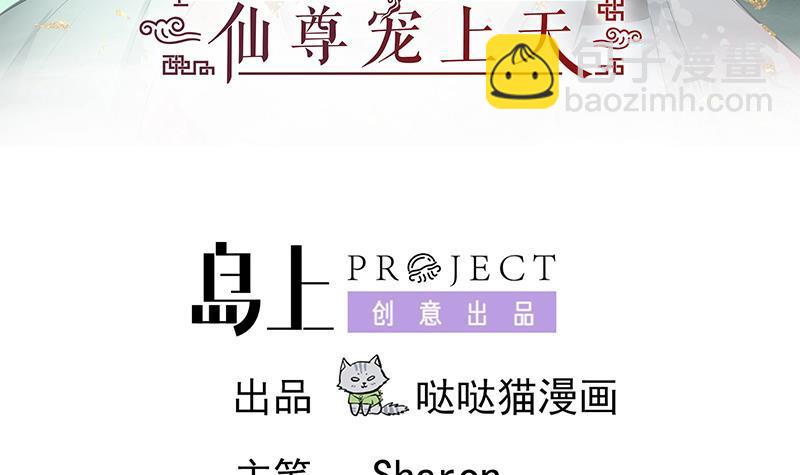 逆天嫡女：仙尊，寵上天！ - 第35話 老夫人 - 3