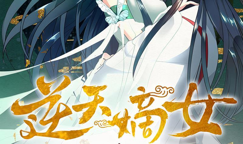 逆天嫡女：仙尊，寵上天！ - 第46話 不辭而別 - 2
