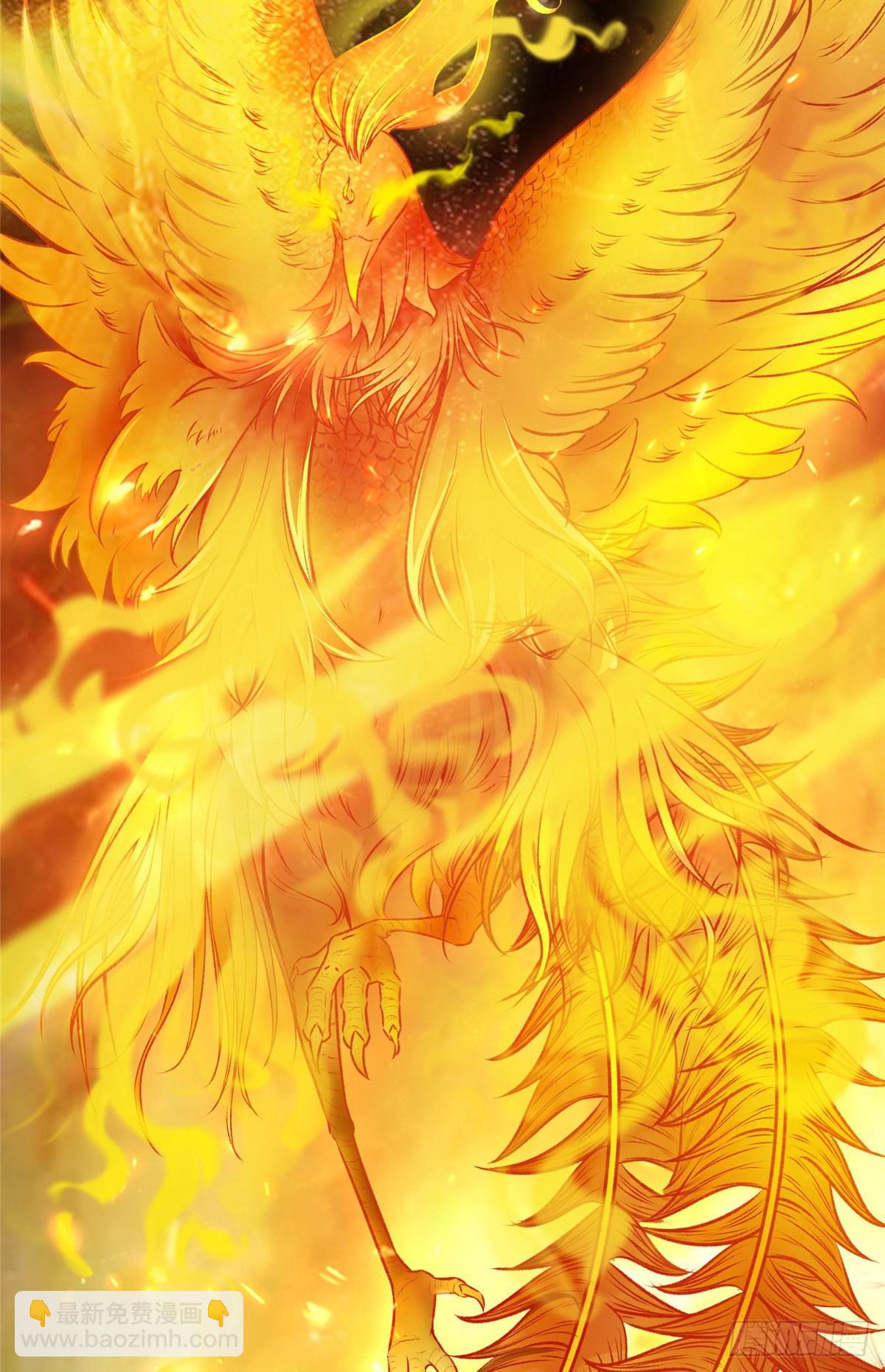 第6话 朱雀出世-第7话