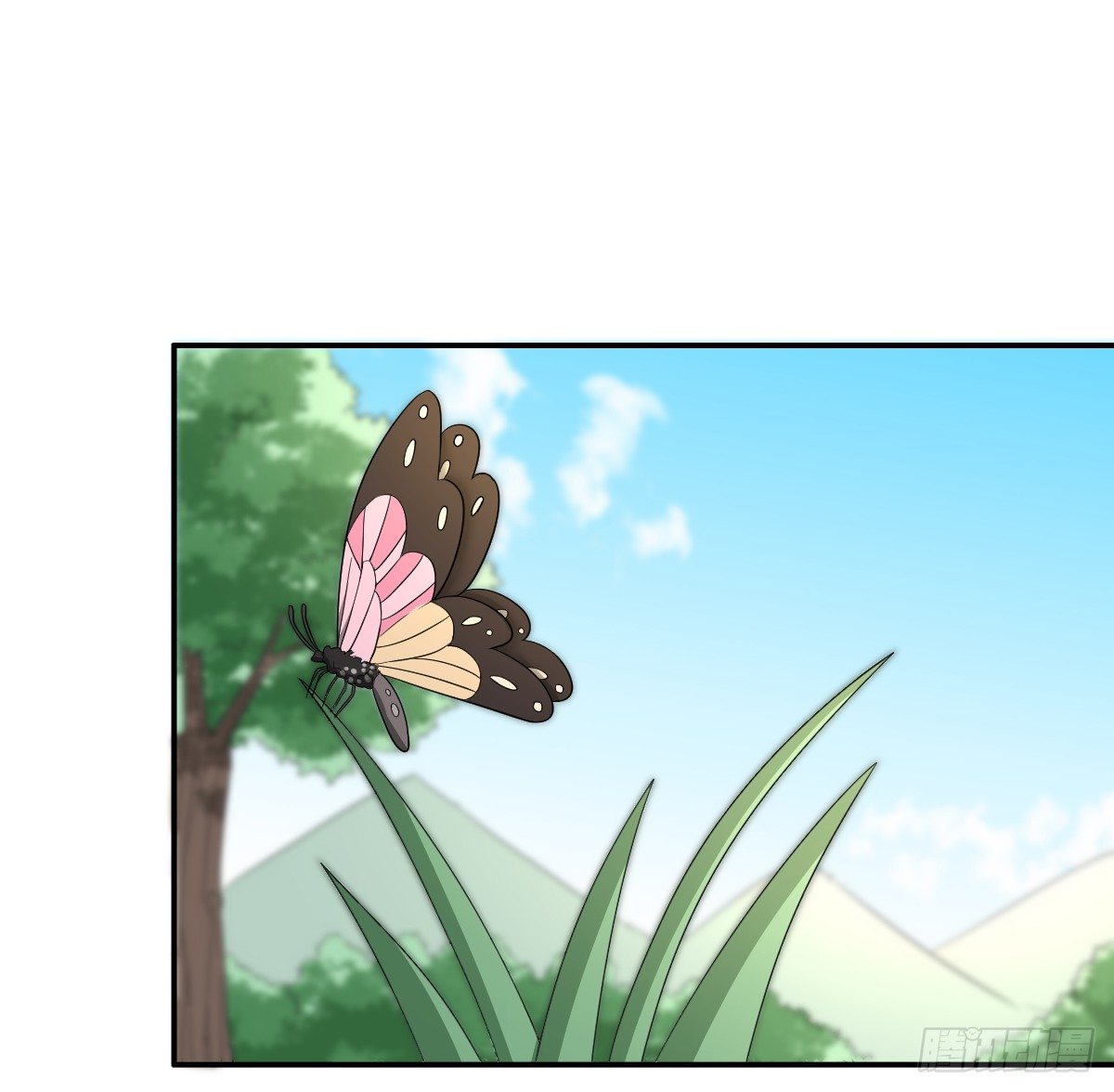 10-吸阳女妖，KO！(1/2)-第11话