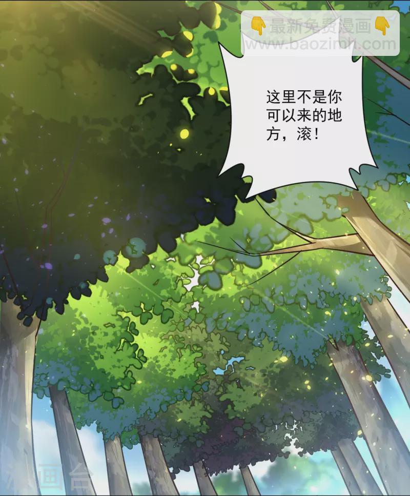 逆天戰神 - 第315話 八荒幽林 - 1