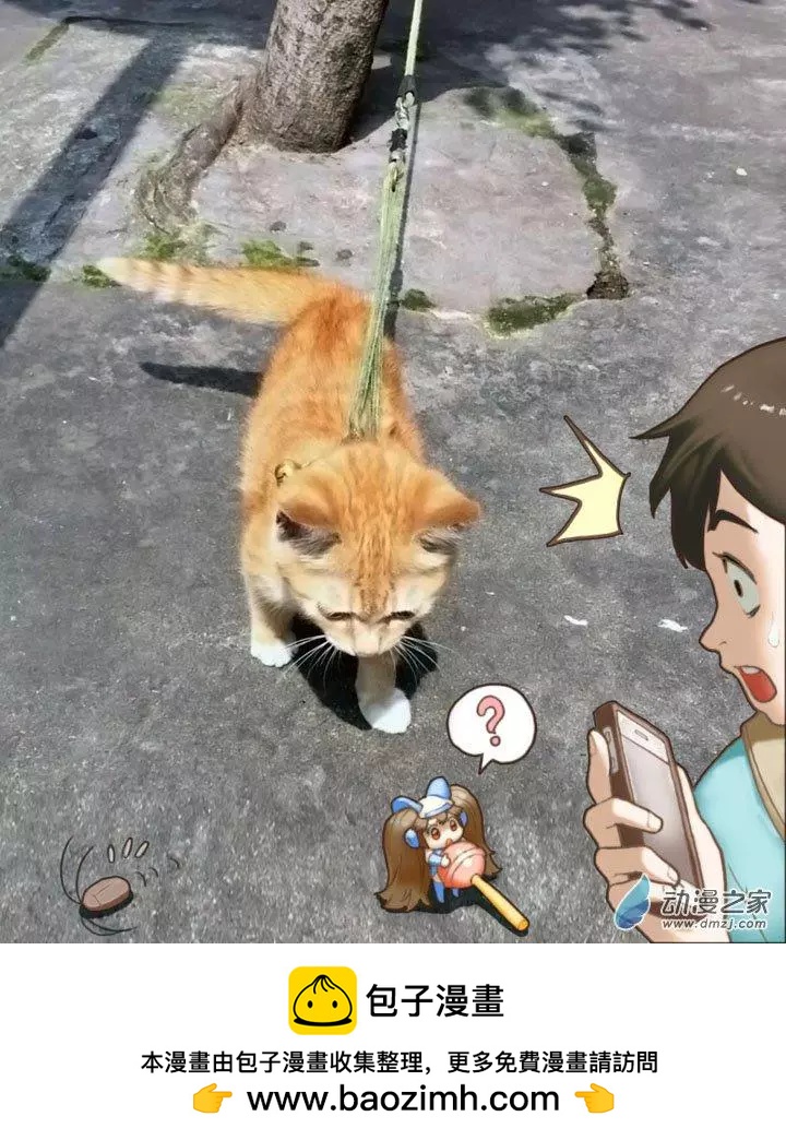扭蛋娃娃 - 第15回 參賽 - 2