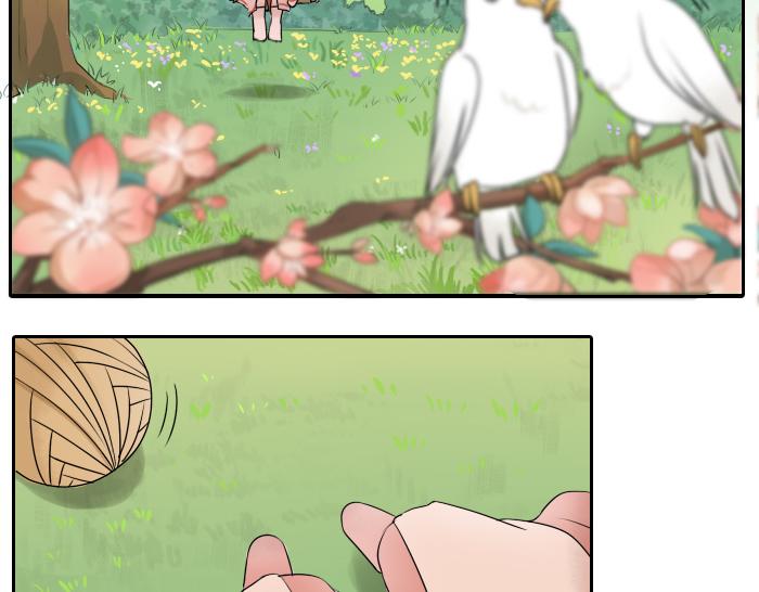 第24话 竟敢伤害马面前辈-第29话