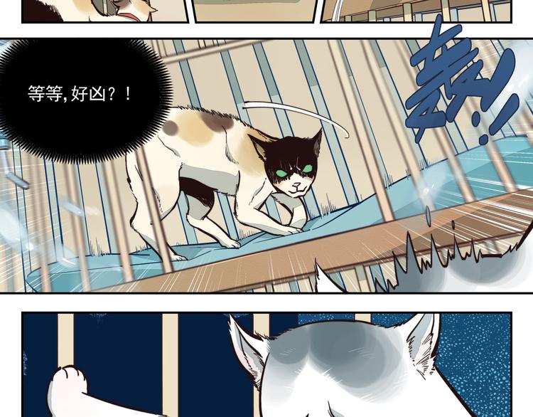 第10话 特惠套餐-第11话