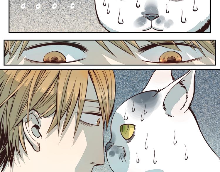 第3话 大写的危机？！-第3话