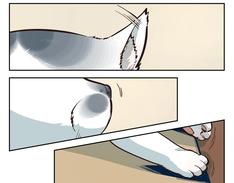 第5话 我的邻居是变态？-第5话