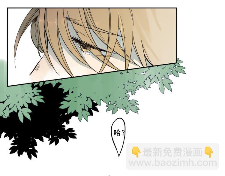 第40话 起因-第41话