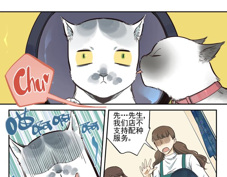 第46话 流转的心意-第47话