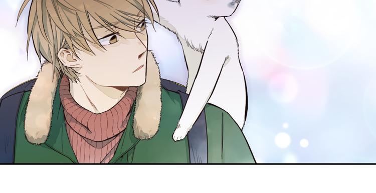 第46话 流转的心意-第47话