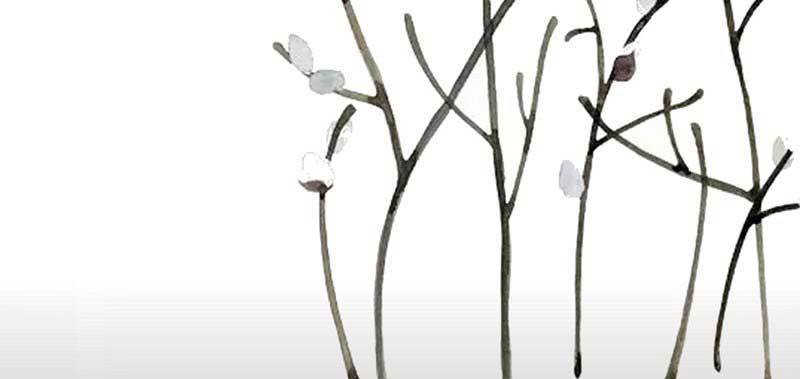 032 是否放过他(1/2)-第33话