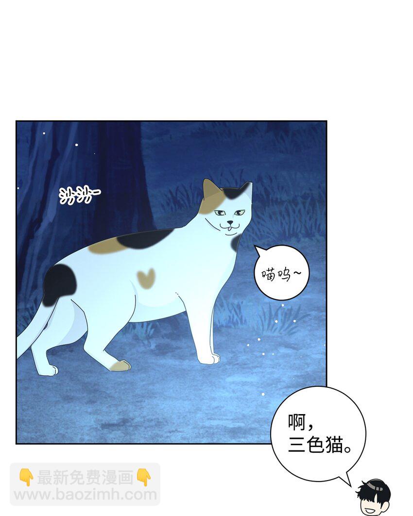 03 一起喂猫(1/2)-第3话