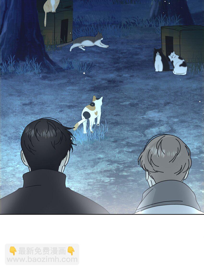 03 一起喂猫(1/2)-第3话