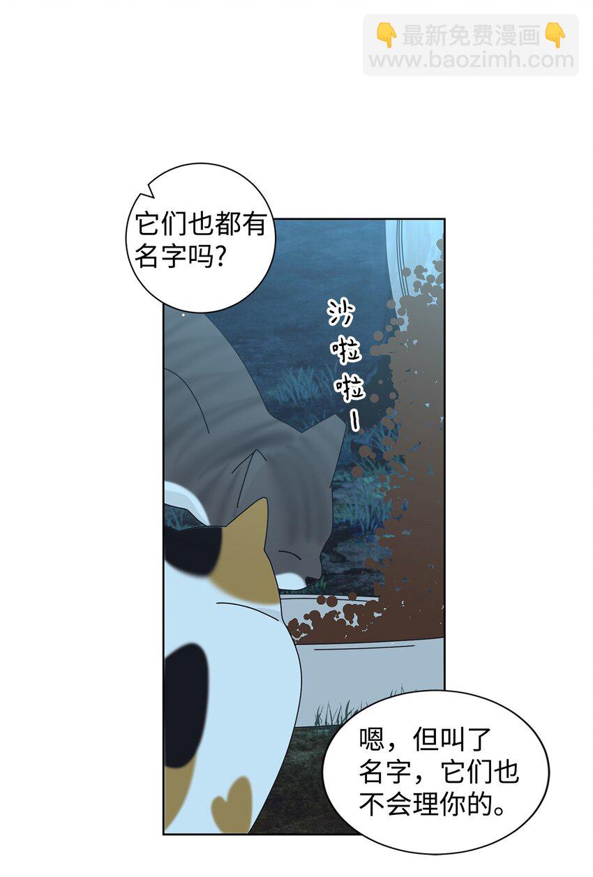 03 一起喂猫(1/2)-第3话