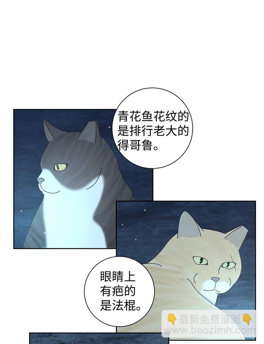 03 一起喂猫(1/2)-第3话