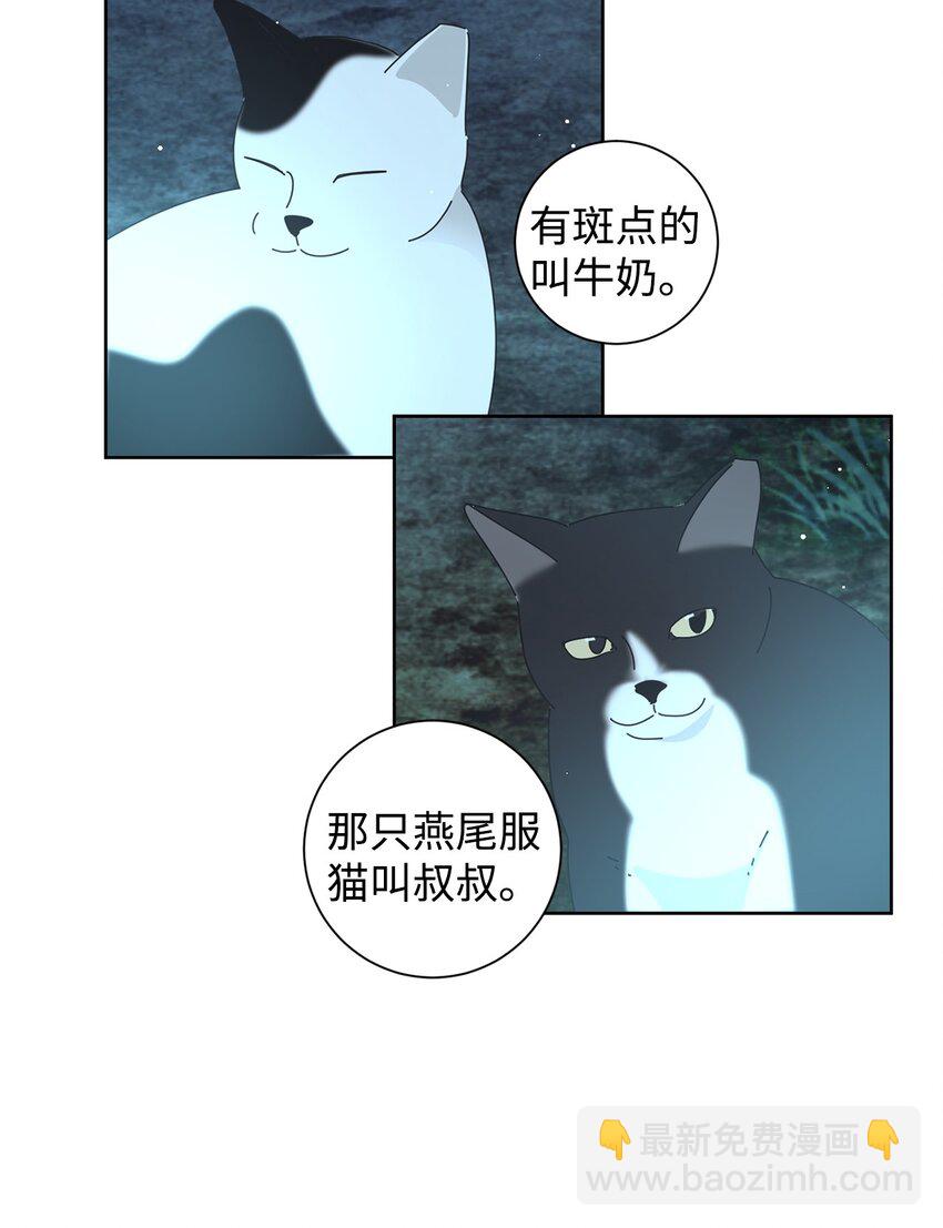 03 一起喂猫(1/2)-第3话