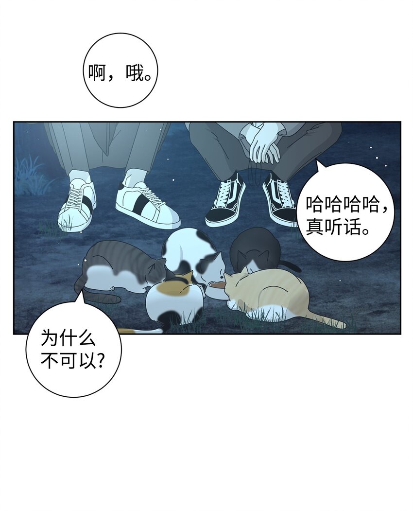 03 一起喂猫(1/2)-第3话