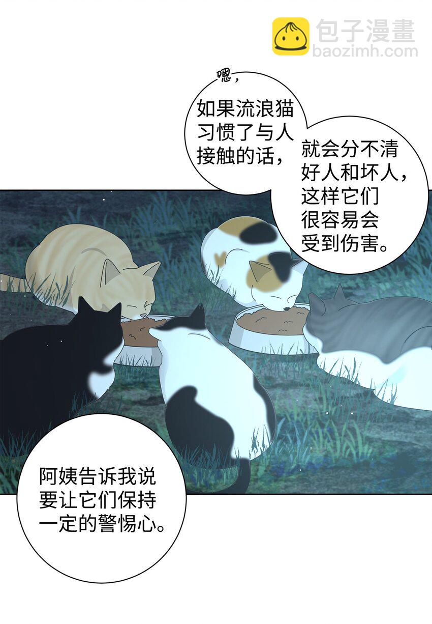 03 一起喂猫(1/2)-第3话