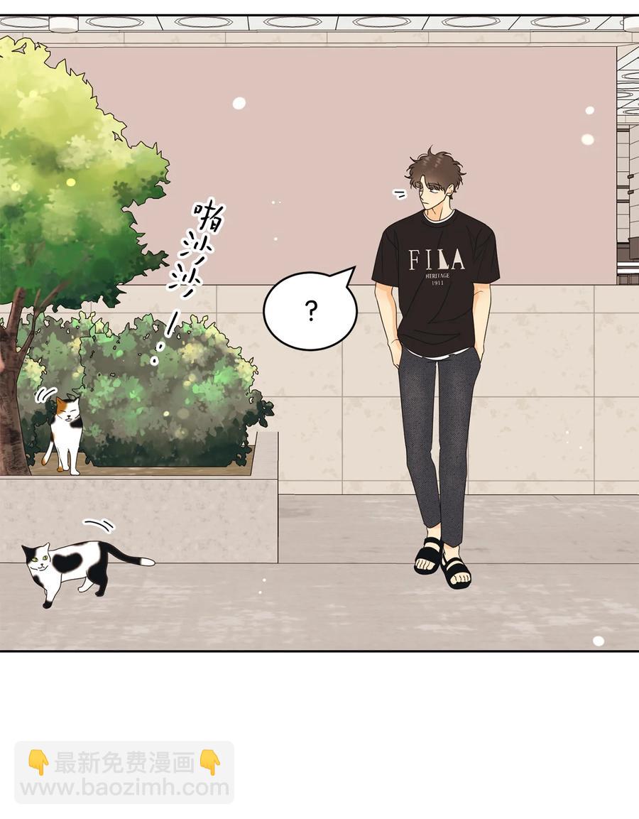 49 谎言(1/2)-第49话