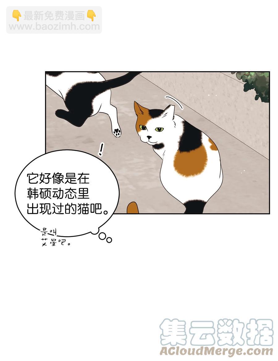 49 谎言(1/2)-第49话