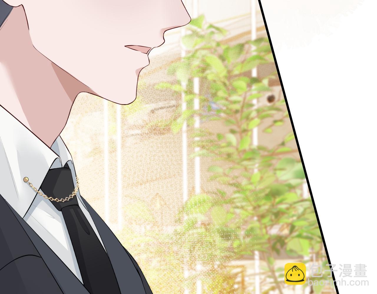 3.总裁护妻(1/2)-第3话