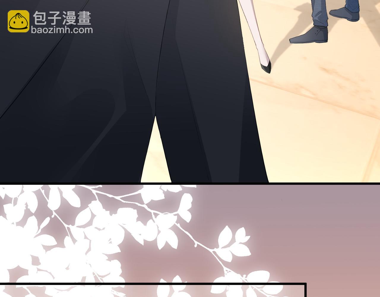 3.总裁护妻(1/2)-第3话