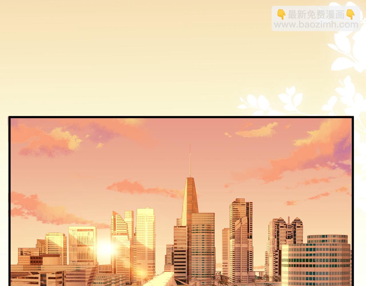 3.总裁护妻(1/2)-第3话