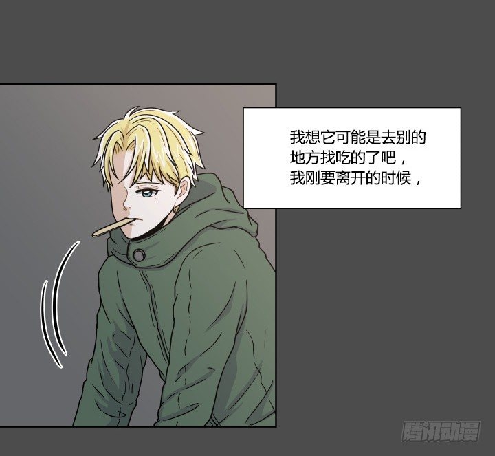 突如其来的意外-第33话