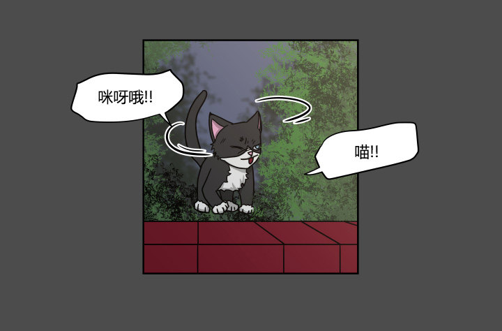 突如其来的意外-第33话