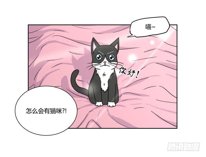 突如其来的意外-第33话