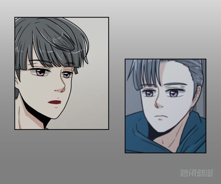 带来好运的猫-第47话