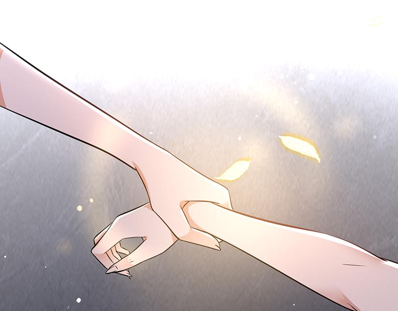 第12话 阿泽两千岁了(1/2)-第13话