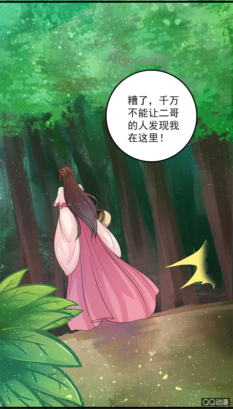 第四十八话：圣甲幽铃-第51话