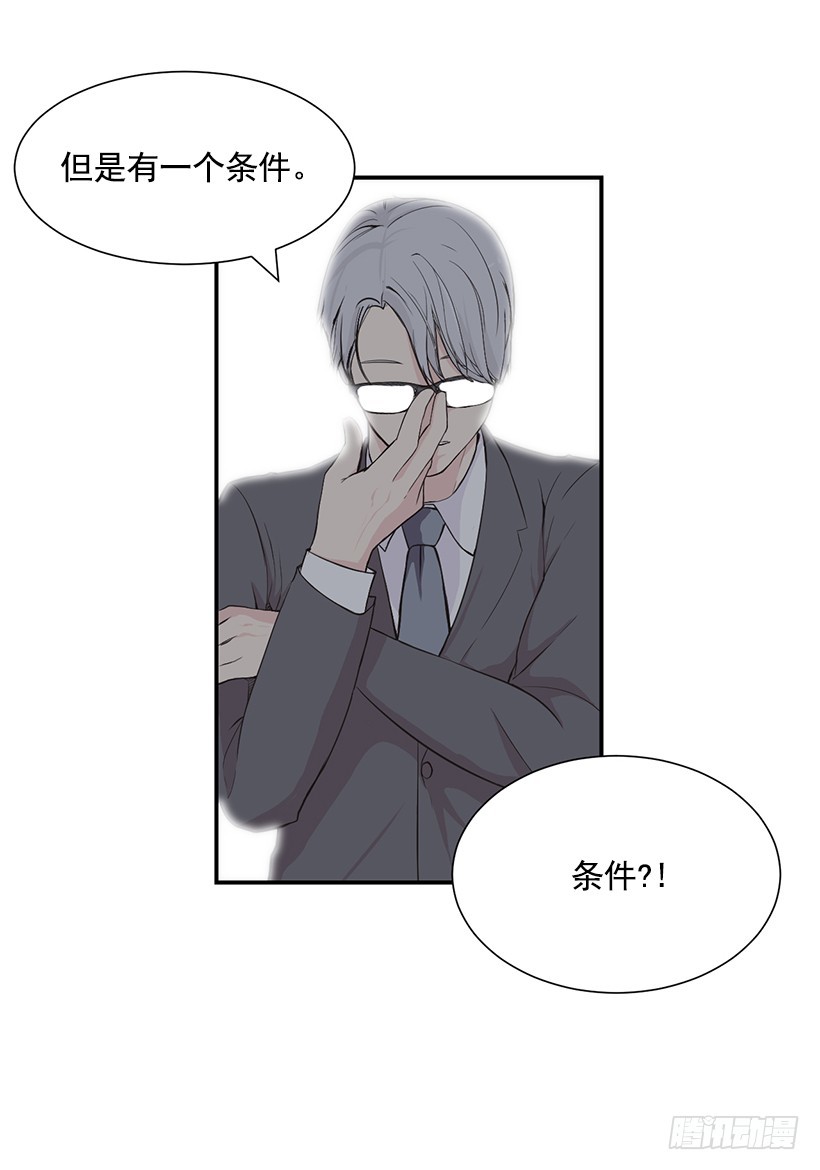 条件(1/2)-第15话