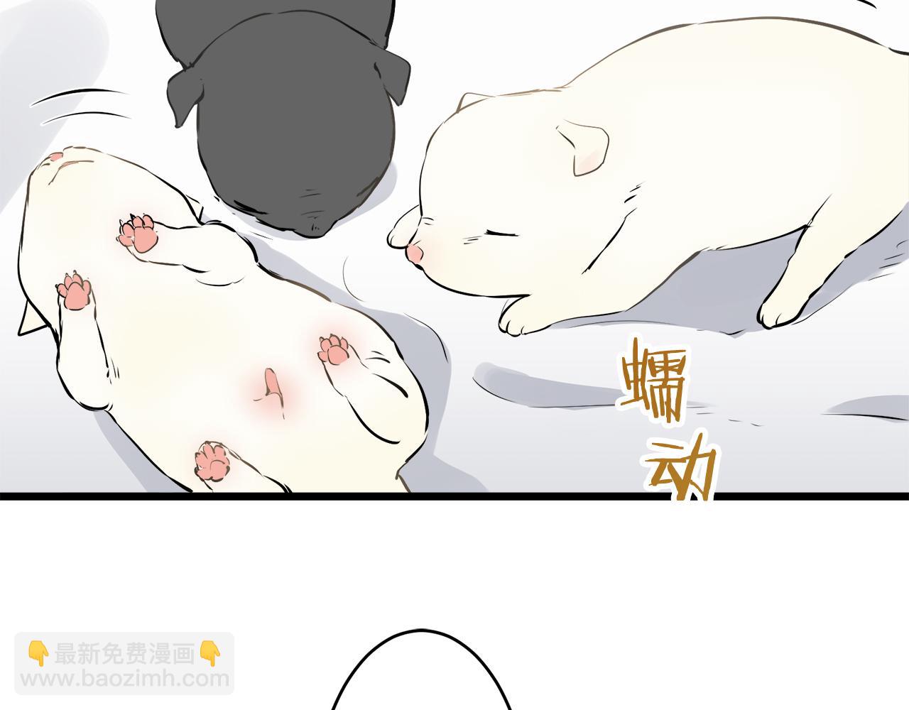 娜麗塔斯·一半的伯爵小姐 - 第28話 如被兩沾溼的裙襬(3/4) - 1