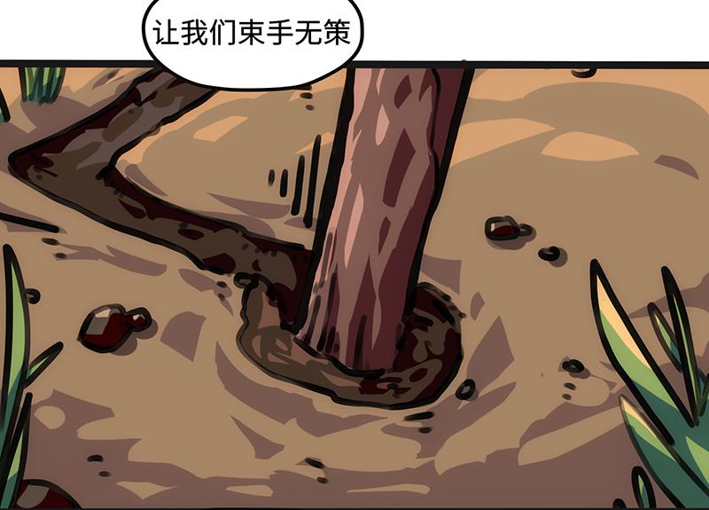 第27话 毒气果实(1/2)-第27话