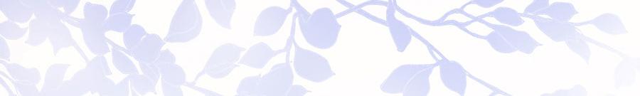 女票芳龄30+ - 第8话 甜品师的梦想(1/3) - 2