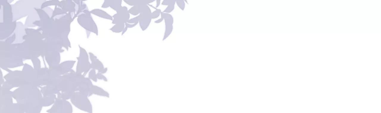 成年人的选择(1/2)-第77话