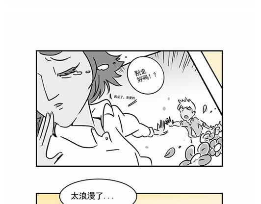 理想与现实的距离-第17话